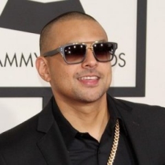 Sean paul other side of love mp3 download